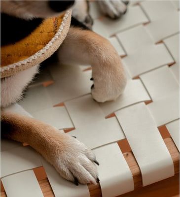 Hotel Nordic Design Solid Ash Hout Paardzadel Lederen Geweven Zit Stackable Eetstoel voor Modern Cafe en Restaurant